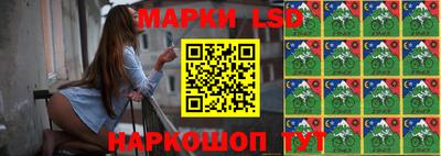 гашик Аргун