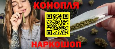 гашик Аргун