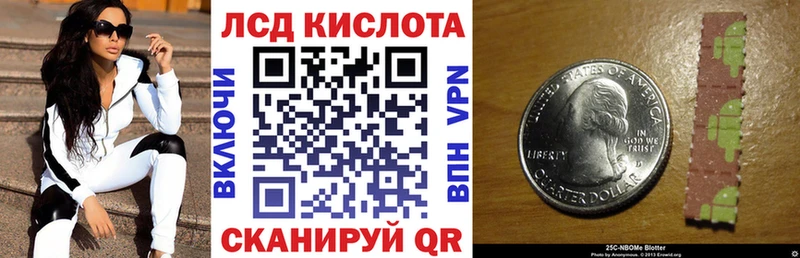 KRAKEN tor  Бердск  Марки NBOMe 1,8мг  где купить наркотик 