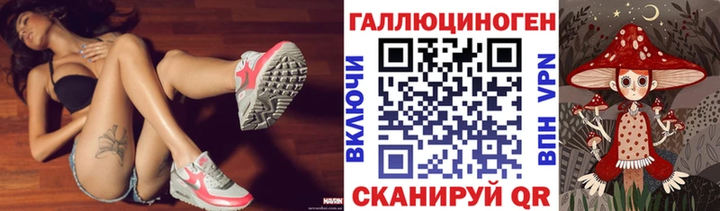 Псилоцибиновые грибы Psilocybe  купить наркотики сайты  Бердск 