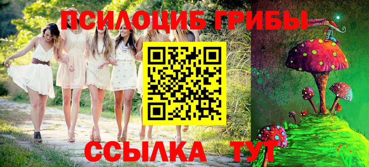 Бердск  Псилоцибиновые грибы Magic Shrooms  Галлюциногенные грибы Magic Shrooms  Вход с VPN 