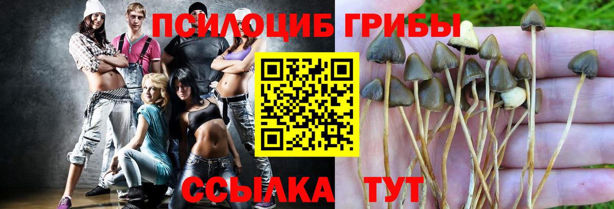 Псилоцибиновые грибы ЛСД  Бердск 